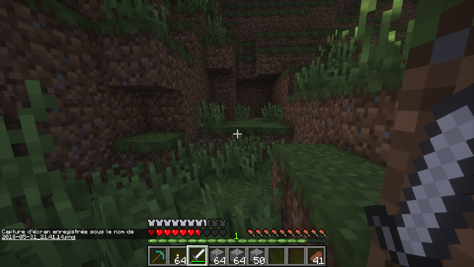 Minecraft interface jeu